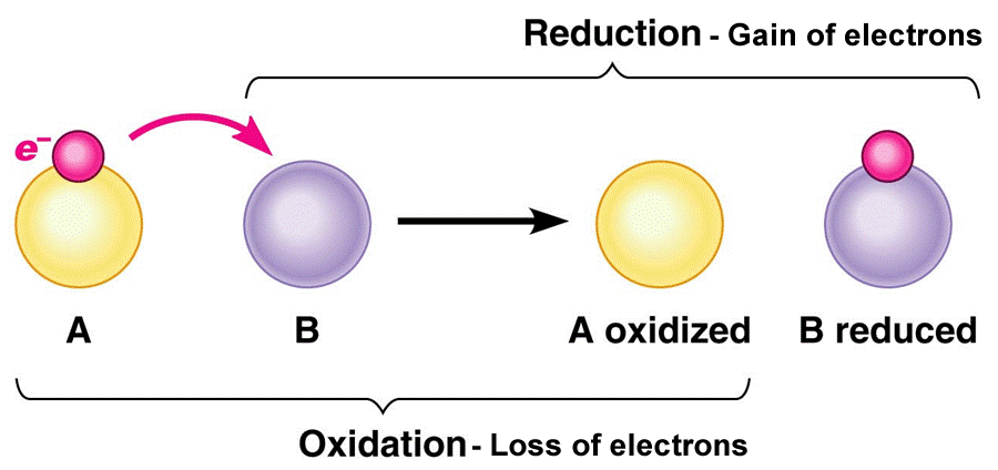 Oxidation - Loss of electrons