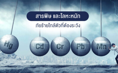 สารพิษและโลหะหนัก ภัยร้ายใกล้ตัวที่ต้องระวัง