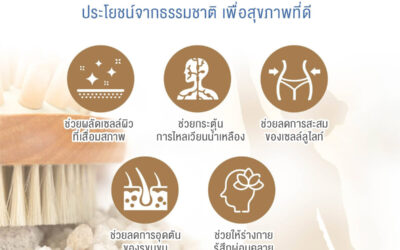 การแปรงผิวแบบแห้ง (Dry brush)