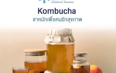 Kombucha ชาหมักเพื่อคนรักสุขภาพ